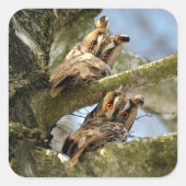 Twee Eigenaars in de Bossen, vogels, wilde dieren  Vierkante Sticker (Voorkant)