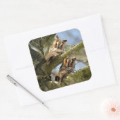 Twee Eigenaars in de Bossen, vogels, wilde dieren  Vierkante Sticker (Envelop)