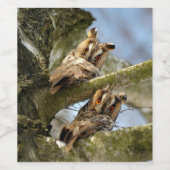 Twee Eigenaars in de Bossen, vogels, wilde dieren Wijn Etiket (Enkel label)