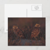 Twee Eigenaars op Zand Briefkaart (Voorkant / Achterkant)