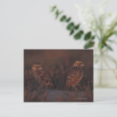 Twee Eigenaars op Zand Briefkaart (Staand voorkant)