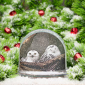 Twee Eigenaars Sneeuwbol (Kerstmis)