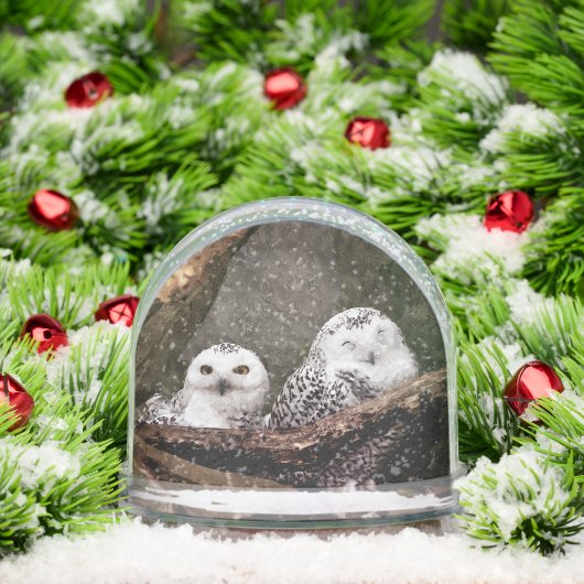 Twee Eigenaars Sneeuwbol (Kerstmis)