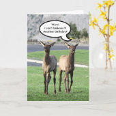 Twee elandkalveren gelukkige verjaardag kaart (Gele Bloem)