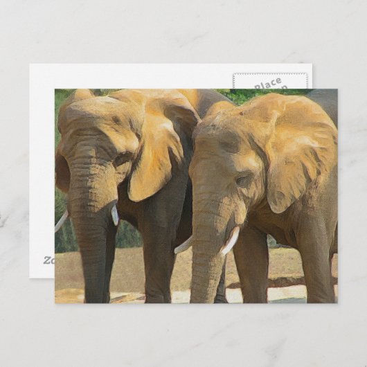 Twee Elephant Friends Briefkaart (Voorkant / Achterkant)