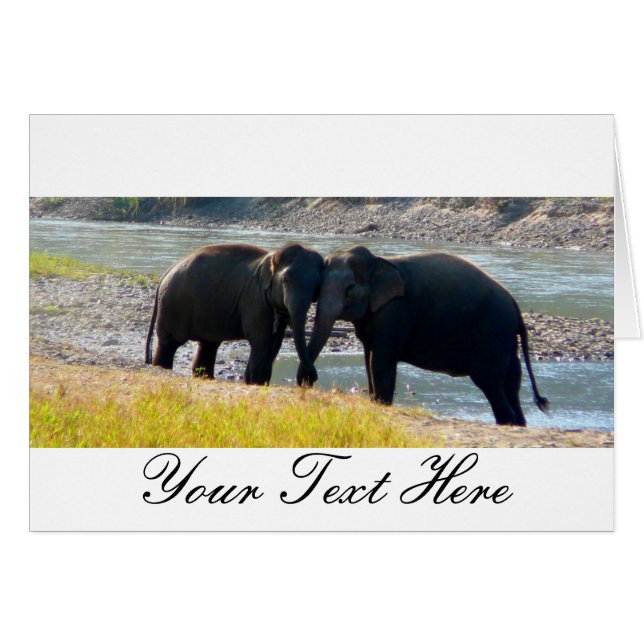 Twee Elephants (Voorkant Horizontaal)