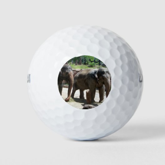 Twee Elephants Golfballen (Voorkant)