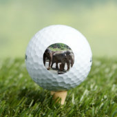 Twee Elephants Golfballen (Insitu Shirt)