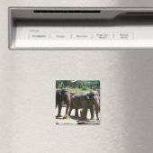 Twee Elephants Magneet (Insitu (Vaatwasser))