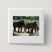 Twee Elephants Vierkante Button 5,1 Cm (Voorkant)