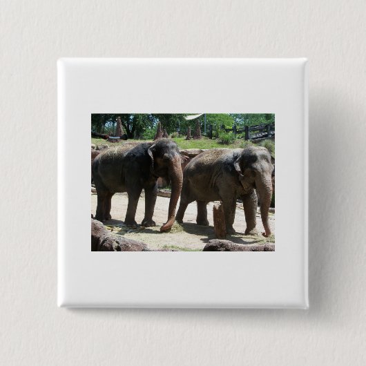 Twee Elephants Vierkante Button 5,1 Cm (Voorkant)
