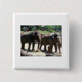 Twee Elephants Vierkante Button 5,1 Cm
