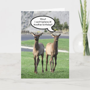 Twee Elk Calves Happy Birthday Kaart