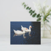 Twee Emden Geese Briefkaart (Staand voorkant)