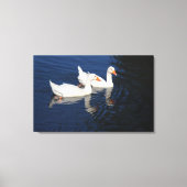 Twee Emden Geese Canvas Afdruk (Voorkant)