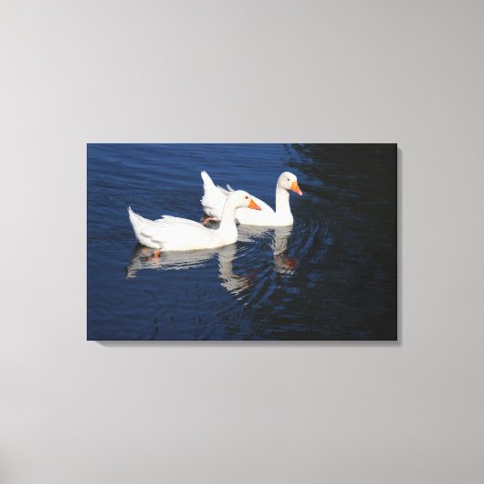 Twee Emden Geese Canvas Afdruk (Voorkant)