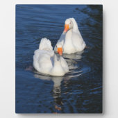 Twee Emden Geese II Fotoplaat (Voorkant)