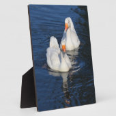 Twee Emden Geese II Fotoplaat (Zijkant)