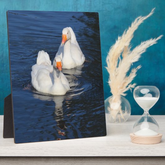 Twee Emden Geese II Fotoplaat (Zijkant)