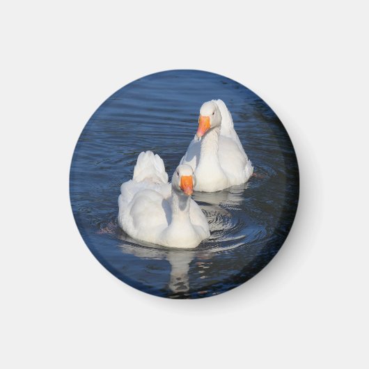 Twee Emden Geese II Magneet (Voorkant)