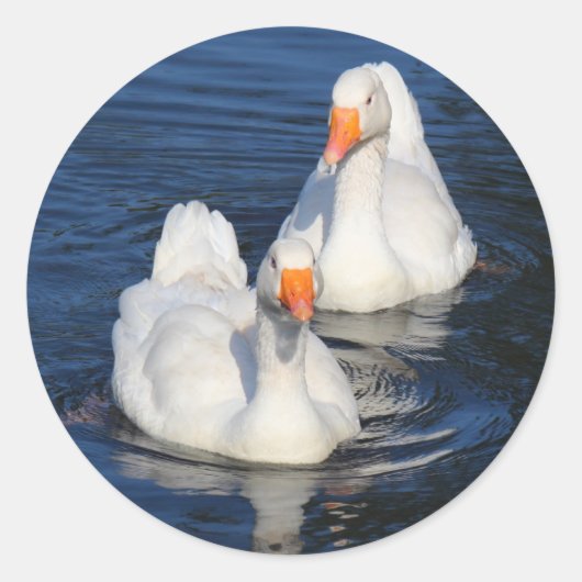 Twee Emden Geese II Ronde Sticker (Voorkant)