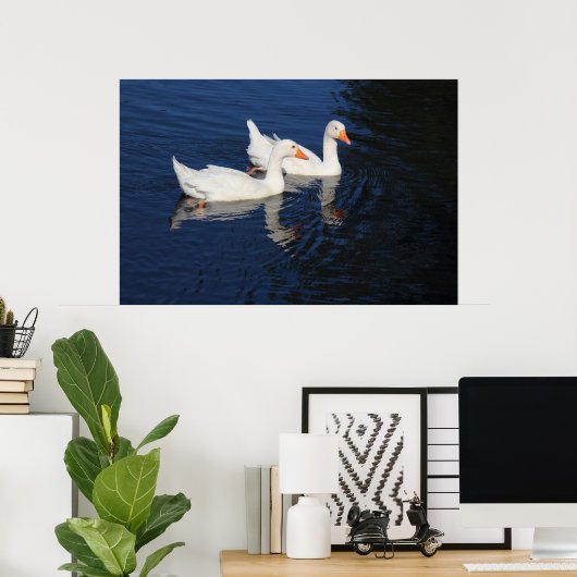 Twee Emden Geese Poster (Thuiskantoor)