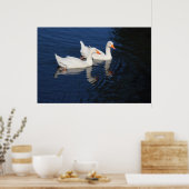 Twee Emden Geese Poster (Keuken)