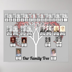 Twee families grijze fractale bomen Fotonaam Poste Poster
