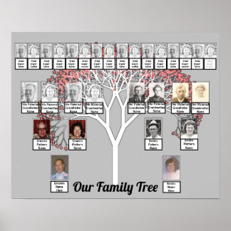 Twee families grijze fractale bomen Fotonaam Poste Poster