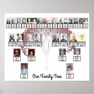 Twee families Roze fractal Tree Foto Name Poster
