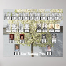 Twee Families Trees Blossom Foto | Naam Poster