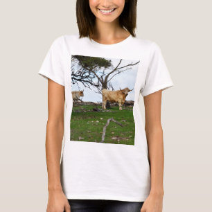 Twee Fawn Highland Koeien in vredige landen, T-shirt