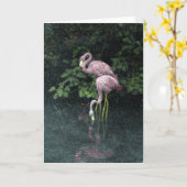 Twee flamingo's Wenskaart Kaart (Gele Bloem)