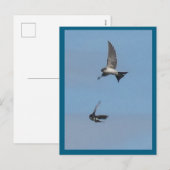 Twee Flying House Martins DIY Briefkaart (Voorkant / Achterkant)