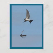 Twee Flying House Martins DIY Briefkaart (Voorkant)