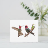 TWEE FLYING JEWELS BRIEFKAART (Staand voorkant)