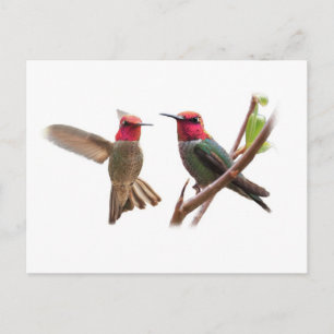 TWEE FLYING JEWELS BRIEFKAART