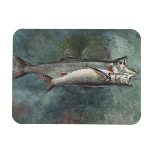 Twee forel magneet (Horizontaal)