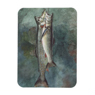 Twee forel magneet