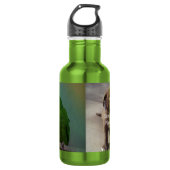 Twee foto waterfles waterfles 