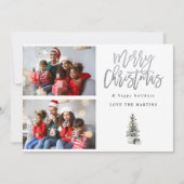 Twee foto's met kerstboomvariëteiten (Voorkant)