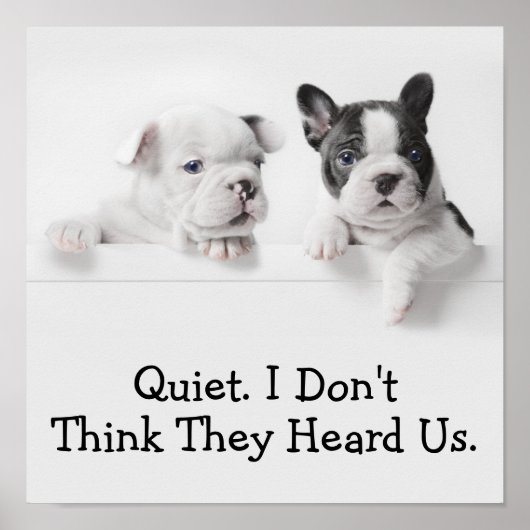 Twee Franse Puppies van Bulldog Peer over een muur Poster (Voorkant)