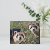 Twee fretten briefkaart (Staand voorkant)