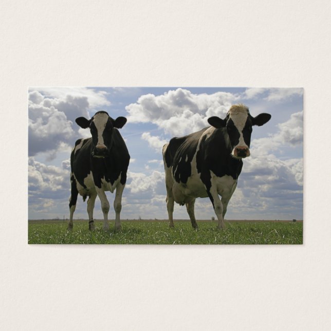 Twee Friese koeien bladwijzer Visitekaartjes (Voorkant)