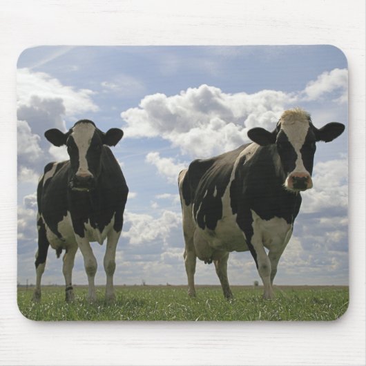 Twee Friesse koeien Muismat (Voorkant)