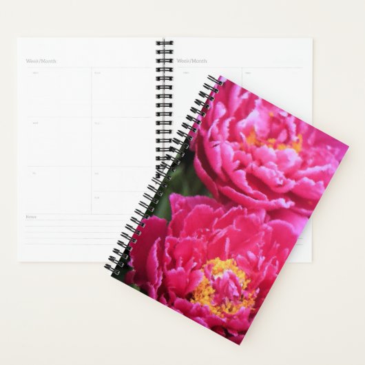 Twee Fuchsia pioen bloeit schilderij Planner (Display)