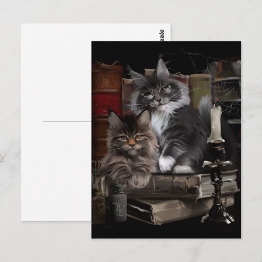 Twee furry Maine Coon kittens Briefkaart (Voorkant / Achterkant)