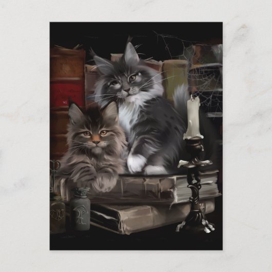 Twee furry Maine Coon kittens Briefkaart (Voorkant)