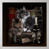 Twee furry Maine Coon kittens Poster (Voorkant)