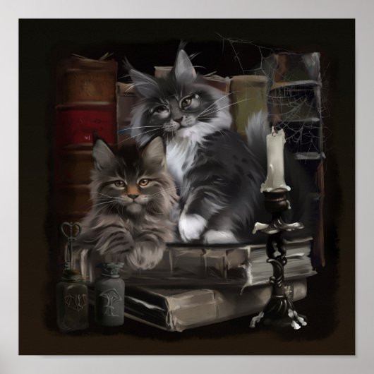 Twee furry Maine Coon kittens Poster (Voorkant)